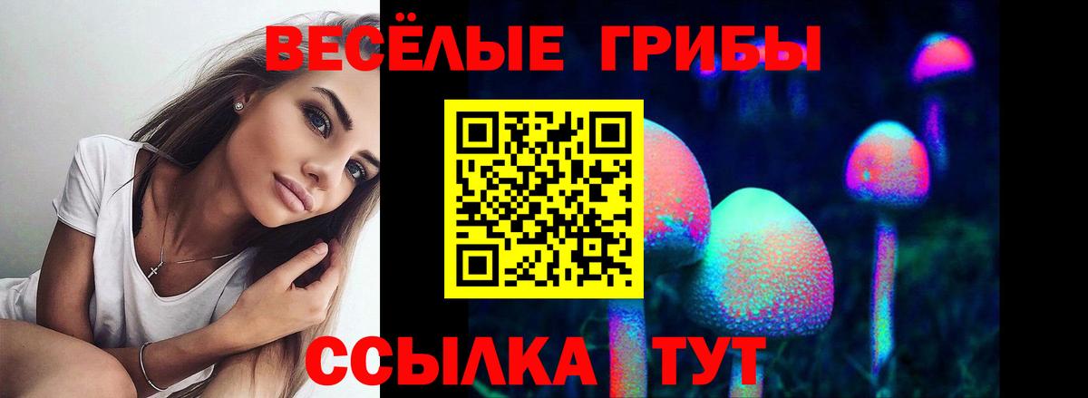 Коломна  Галлюциногенные грибы Cubensis  Вход с VPN  Галлюциногенные грибы ЛСД 