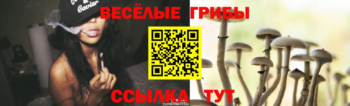 Галлюциногенные грибы ЛСД Коломна